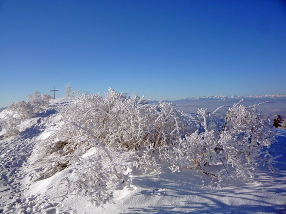 Galaverna sull''Appennino ligure piemontese